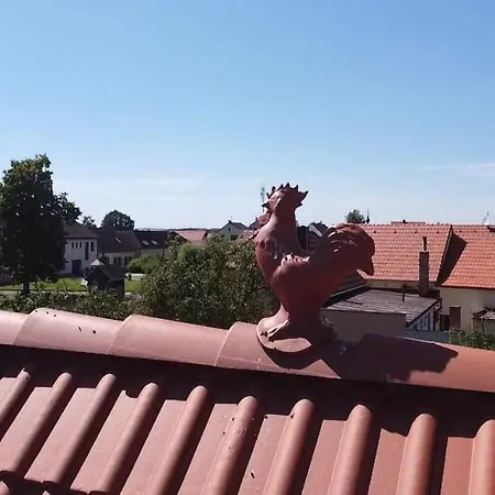 Statek Проживание в семье Zisov