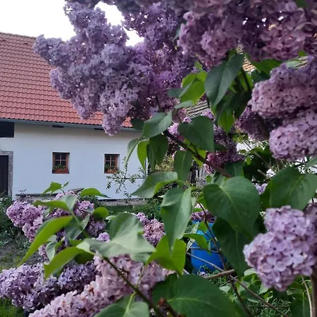 Statek U Veseli Nad Luznici Kwatera prywatna Zisov