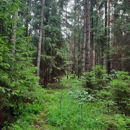 Проживание в семье Statek