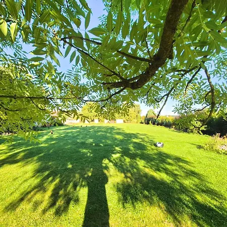 Statek U Veseli Nad Luznici בית אירוח *