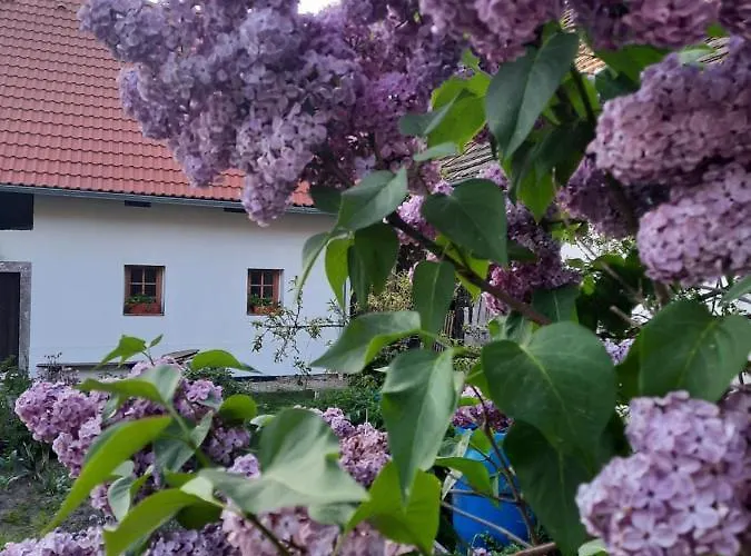 Statek U Veseli Nad Luznici Séjour chez l'habitant Zisov